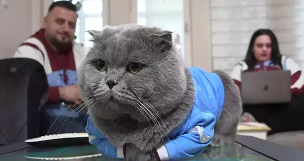 fanatik kedi toma stadyumda mac izlemek icin izin cikti WnOzQ6G3