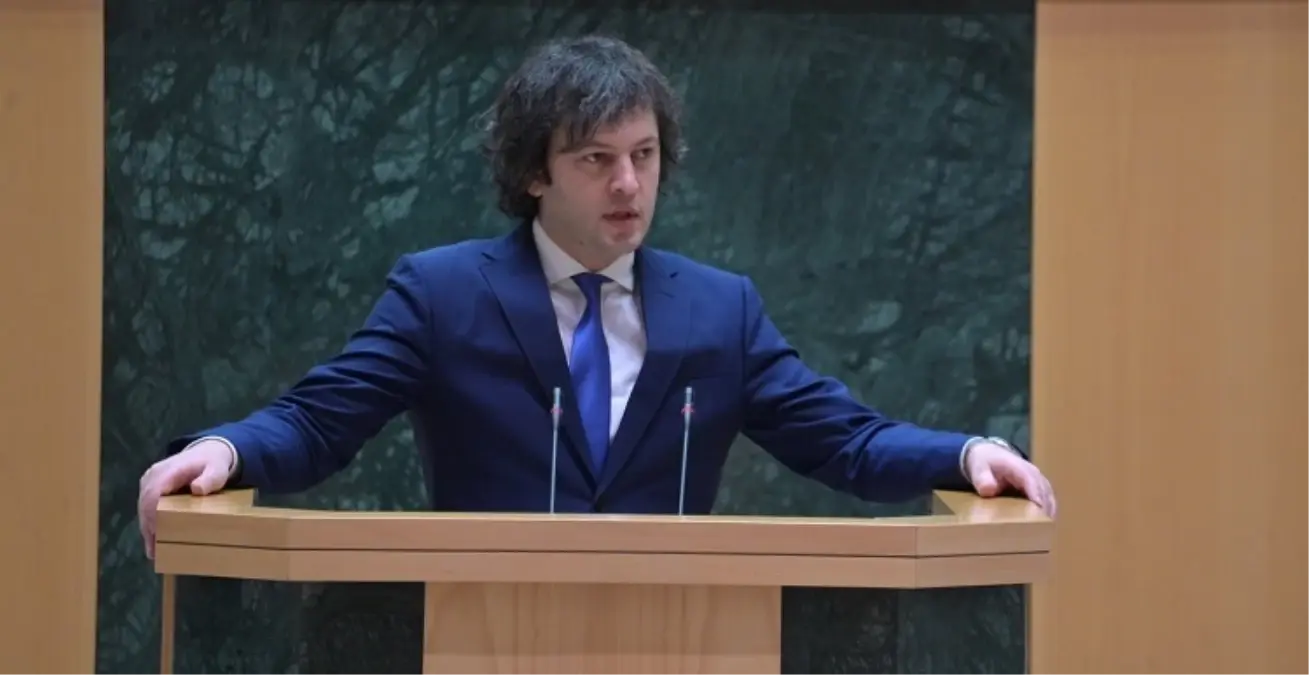 gurcistan basbakani yerel secim gosterileri hukumeti devirmek icin duzenlendi MdDL4bzJ