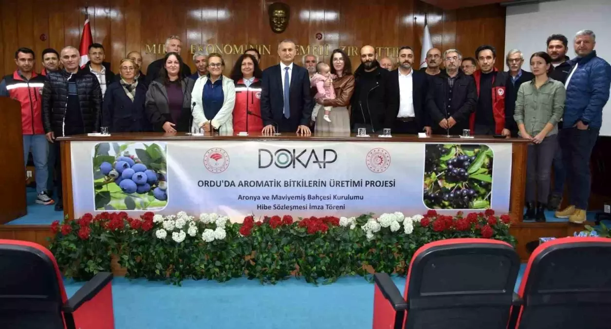 orduda aromatik bitki uretimi artiyor XqNthWjZ.jpg