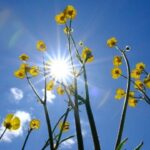 yeni-haftada-bahar-sicaklari-basliyor-88aVchD7-1