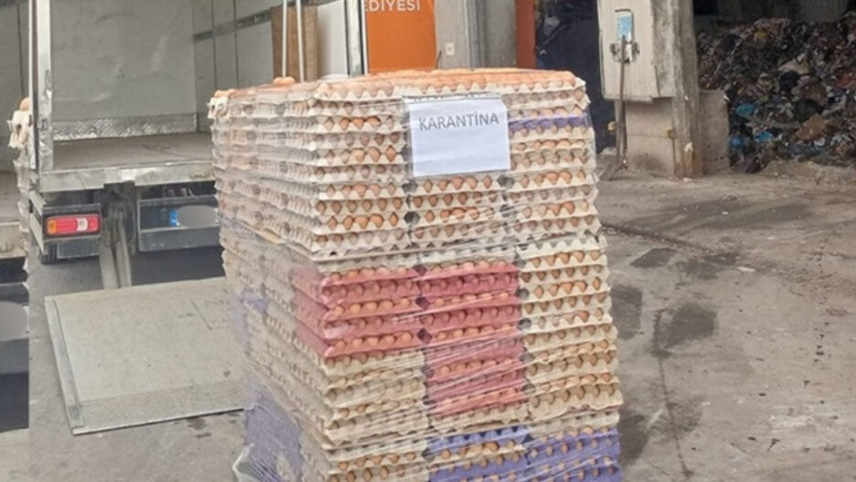 42 Bin Adet Sahte Organik Yumurtaya El Konuldu